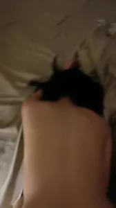 刚上班的大专辅导员